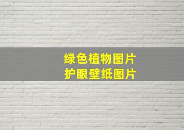 绿色植物图片 护眼壁纸图片